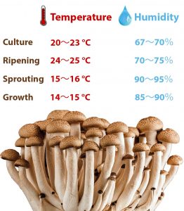 humidity for mushroom