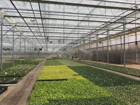 Walters greenhouse discount