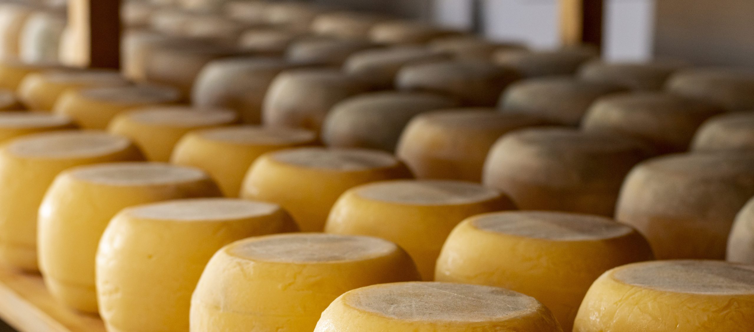 Cheese ripening and humidity control