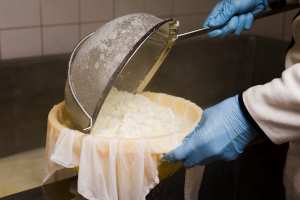 cheese ripening and humidity control 