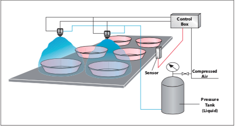 BIM disinfect of potato grading line