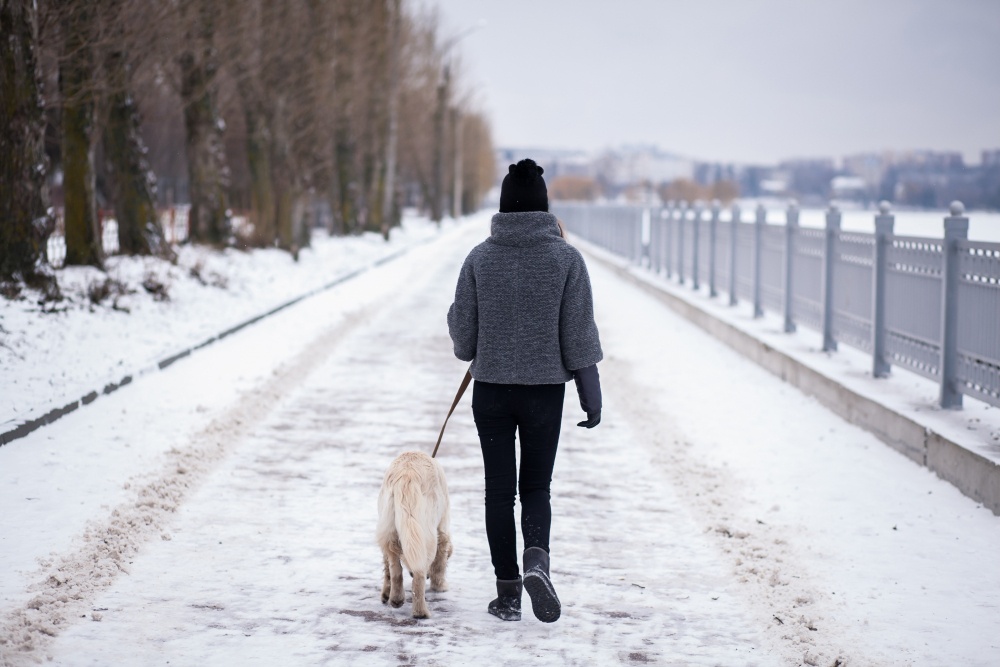 air pollution during winter