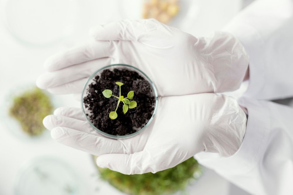 tissue cultivation