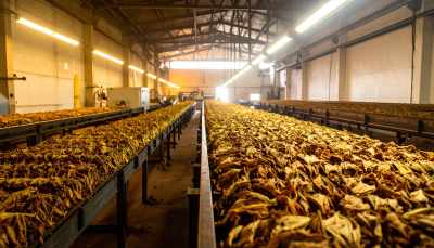 Tobacco and humidity control