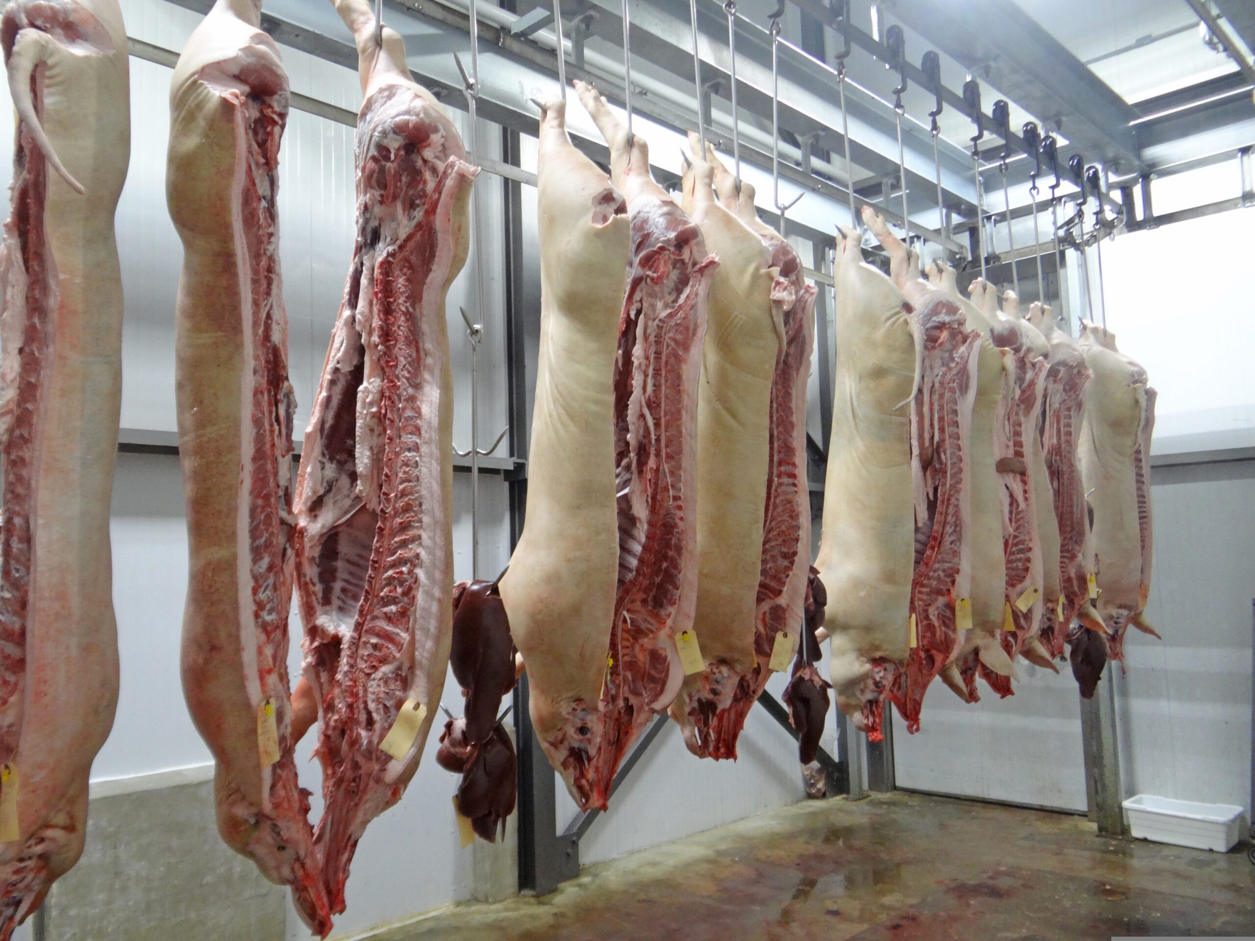 Carcass chilling