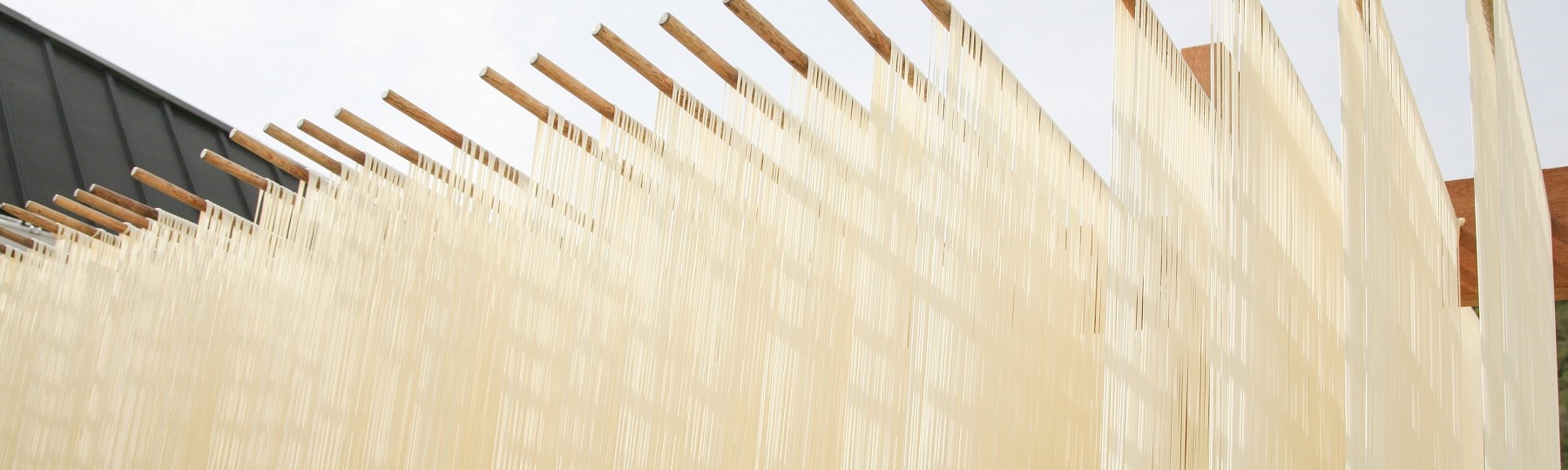 Fresh pasta in humidifed room